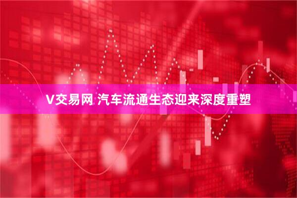 V交易网 汽车流通生态迎来深度重塑