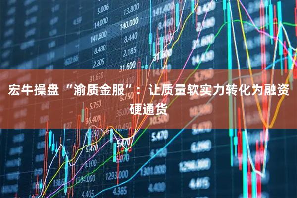 宏牛操盘 “渝质金服”：让质量软实力转化为融资硬通货